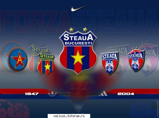 fortza steaua